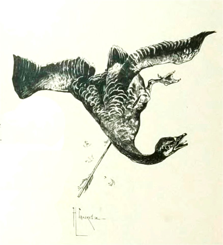 Kutepov's hunting V.1 - page 027 detail