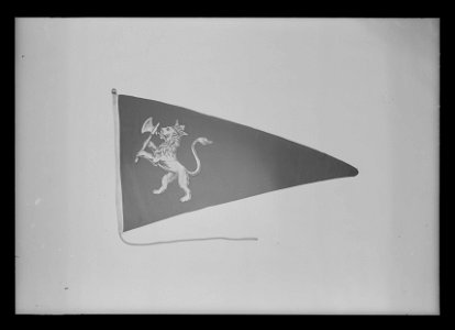 Kungl. norsk standert - Livrustkammaren - 44368