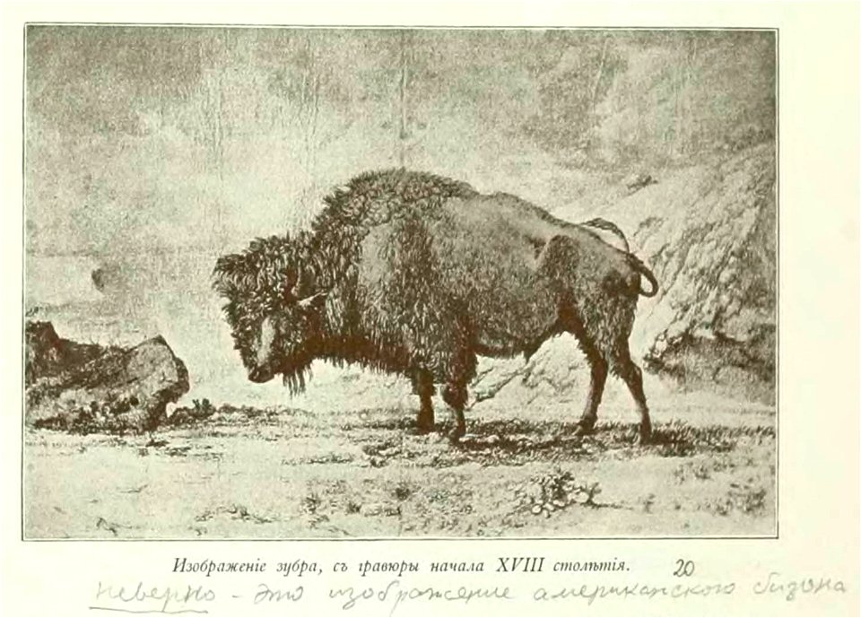 Kutepov's hunting V.1 - page 053 detail