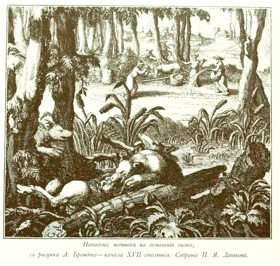 Kutepov's hunting V.1 - page 033 detail