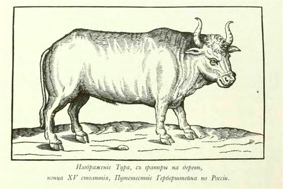 Kutepov's hunting V.1 - page 047 detail