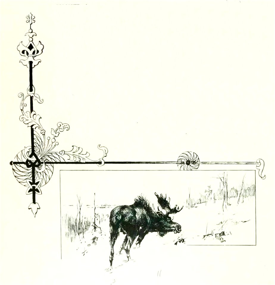 Kutepov's hunting V.1 - page 030 detail