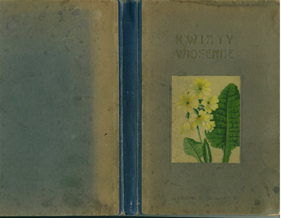 Kwiaty wiosenne 01