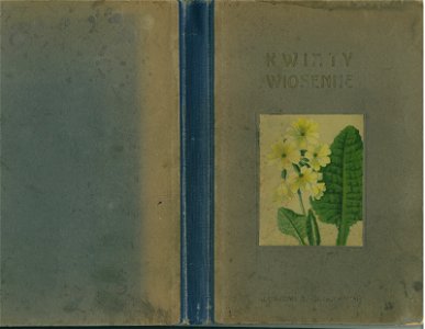 Kwiaty wiosenne 01