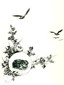 Kutepov's hunting V.1 - page 137 detail