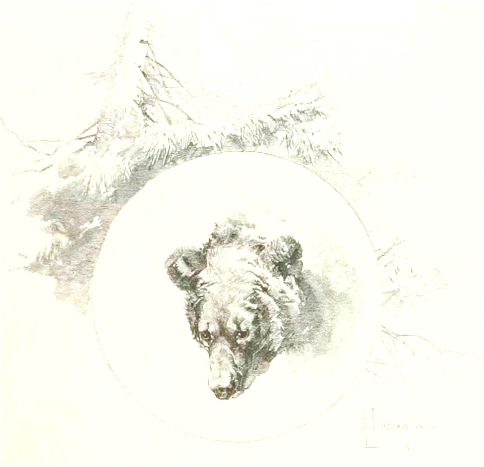 Kutepov's hunting V.1 - page 012 detail