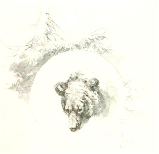 Kutepov's hunting V.1 - page 012 detail