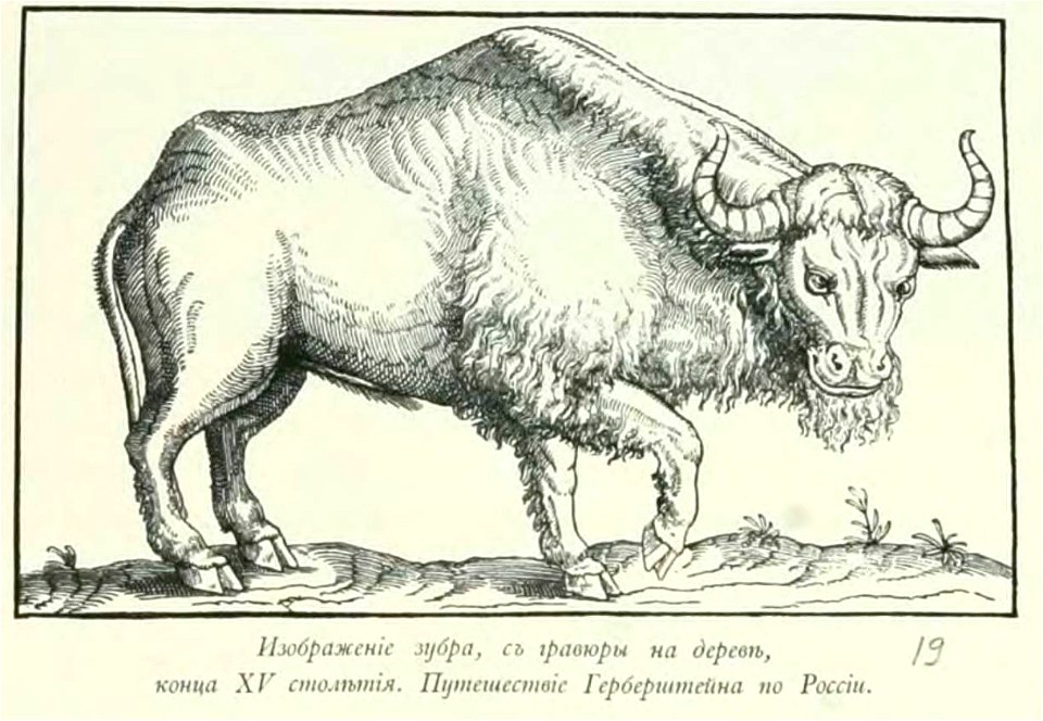 Kutepov's hunting V.1 - page 050 detail