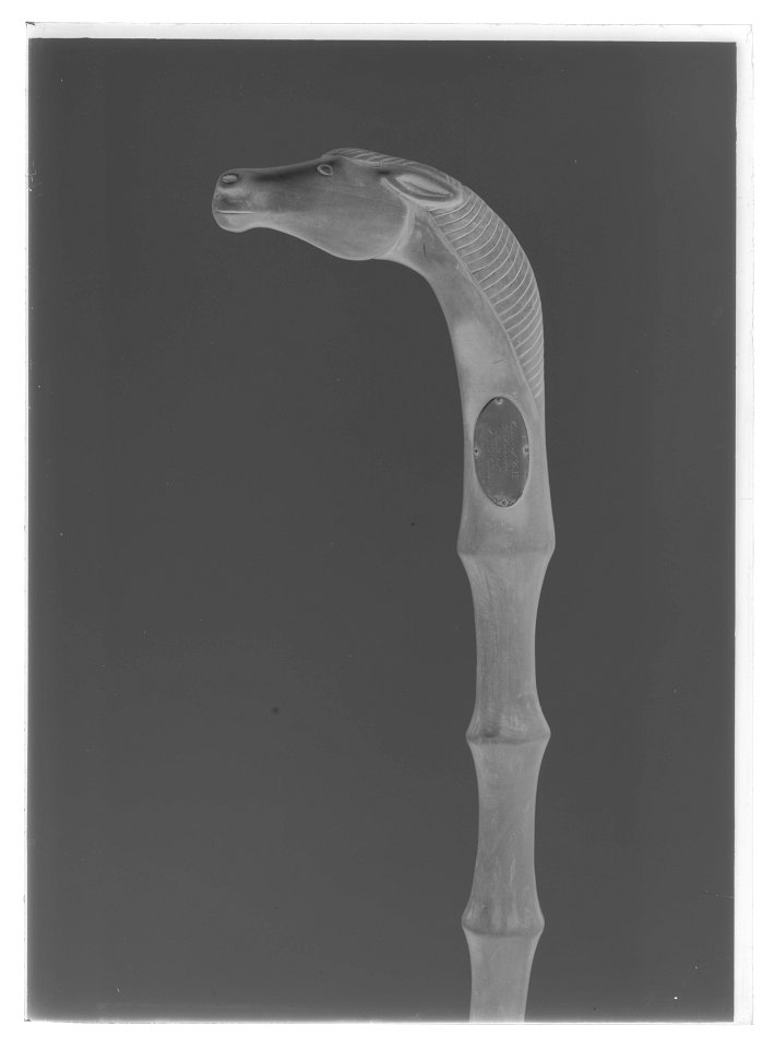Käpp - Livrustkammaren - 35805-negative