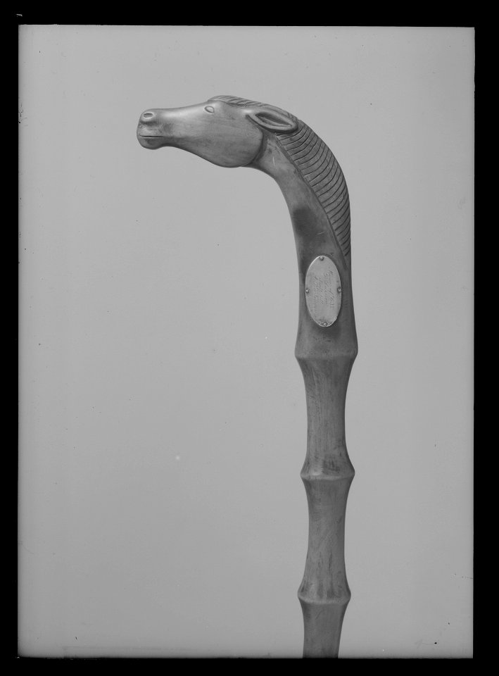 Käpp - Livrustkammaren - 35805