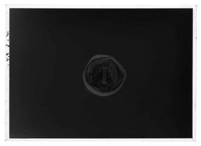 Käpp av kanelträ med förgyllda silverbeslag med Vasavapnet, ca 1540-1560 - Livrustkammaren - 78101-negative