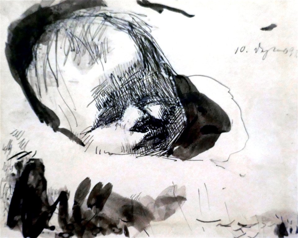 Käthe Kollwitz-Tête d'enfant endormi (1892)