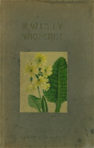 Kwiaty wiosenne 01 (cropped)