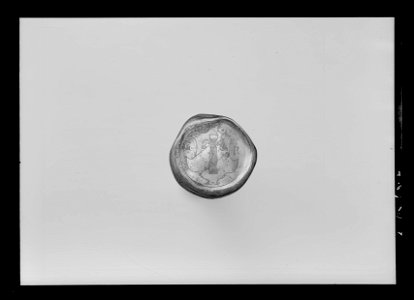 Käpp av kanelträ med förgyllda silverbeslag med Vasavapnet, ca 1540-1560 - Livrustkammaren - 1057