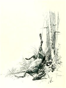 Kutepov's hunting V.1 - page 136 detail