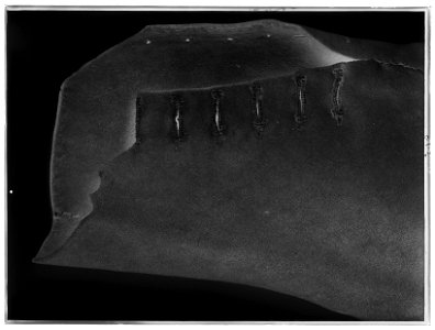 Kyller - Lützen - Livrustkammaren - 60066-negative