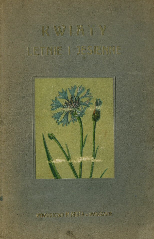 Kwiaty letnie i jesienne 01 (cropped)