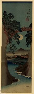 Kōyō saruhashi no zu LCCN2008660650