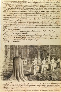 L' Ami des arts livre a lui-meme..., pagina 393, do acervo do Instituto Hercule Florence