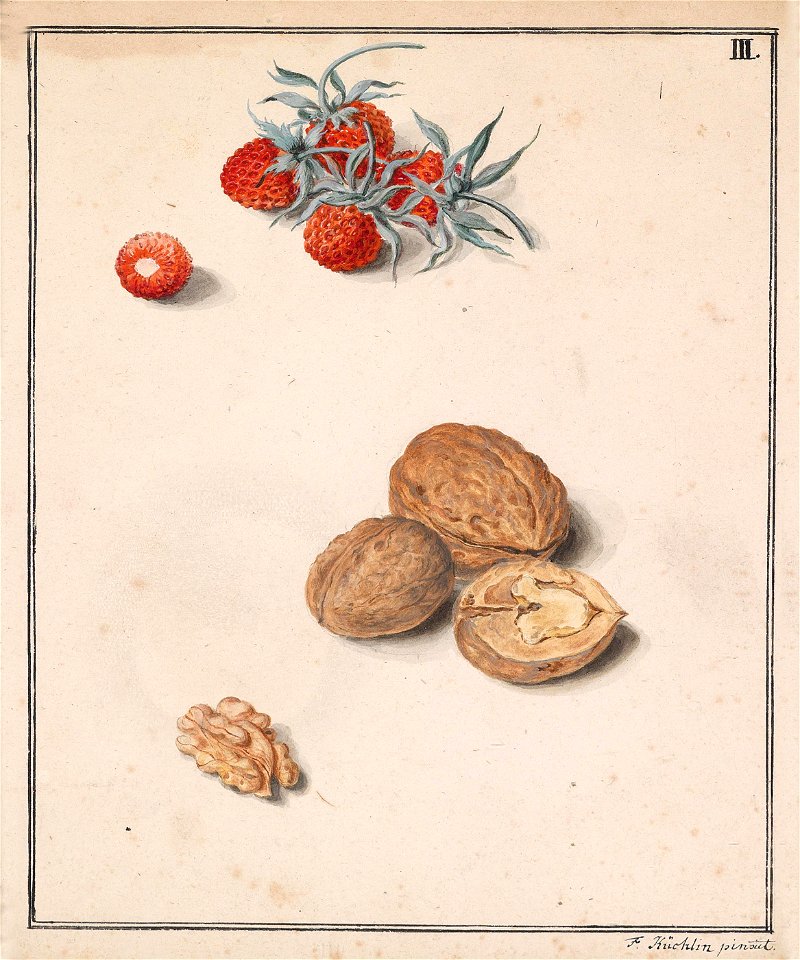 Küchlin Walderdbeeren und Walnuss