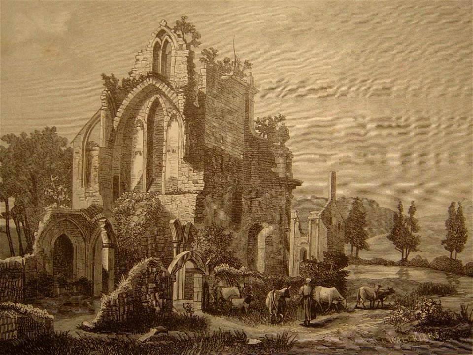 L'abbaye d'Aulne