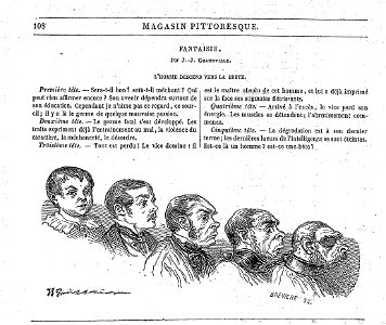 L'Homme descend vers la brute