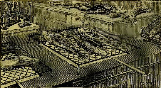 L'arte della cucina, 1917 (page 221 crop)