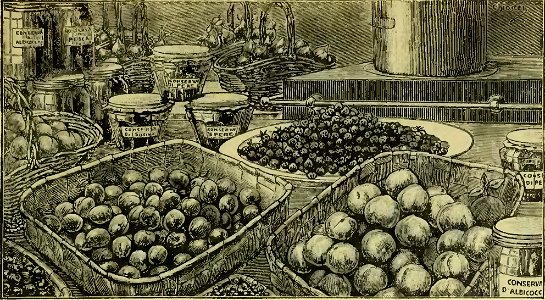 L'arte della cucina, 1917 (page 267 crop)