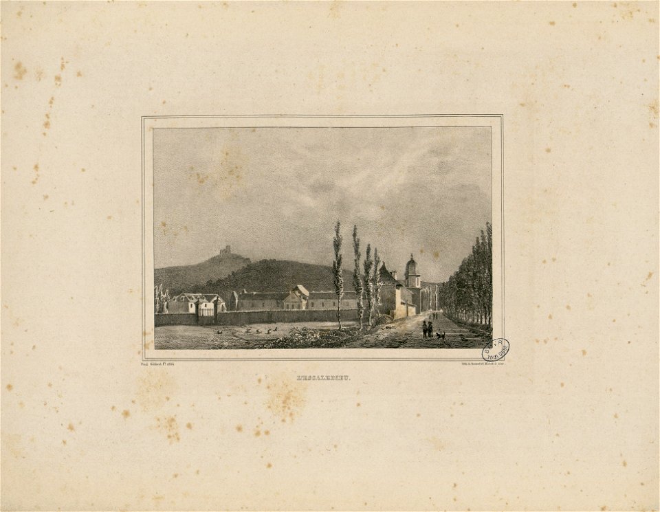 L'Escaladieu - Fonds Ancely - B315556101 A GELIBERT 3 036