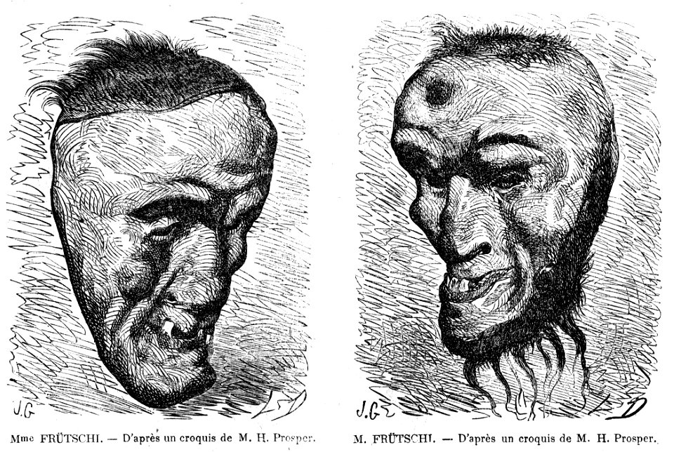 L'Illustration 1862 gravures Masques de Mme et Mr Frütschi