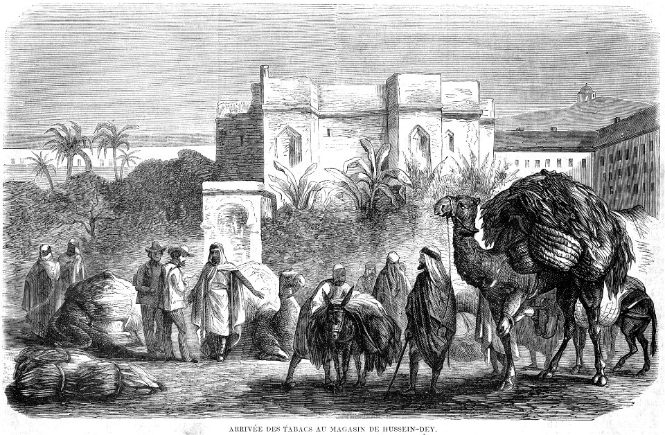 L'Illustration 1862 gravure Arrivée des tabacs au magazin de Hussein-Dey