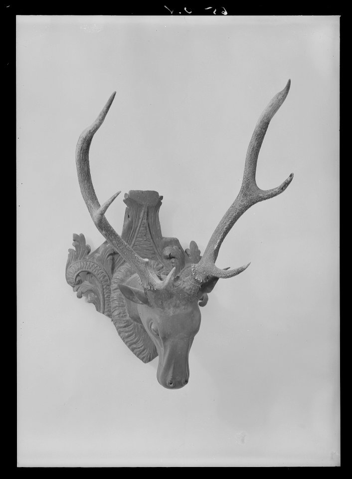 Jakttrofé med kronhjortshorn, monterat på skulpterat hjorthuvud av trä, 1700-tal - Livrustkammaren - 60938