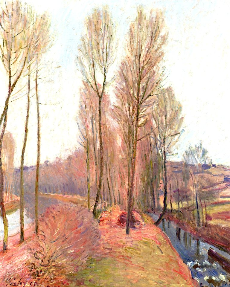 L'Orvanne et le canal du Loing en hiver