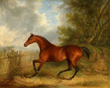 James Barenger (1780-1831) - 'Selim', the Marquess of Londonderry's Bay Hunter in a Landscape - 1221369 - National Trust