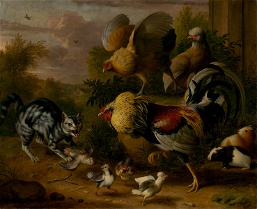 Jakub Bogdan - Mačka medzi kohútmi - O 3 - Slovak National Gallery