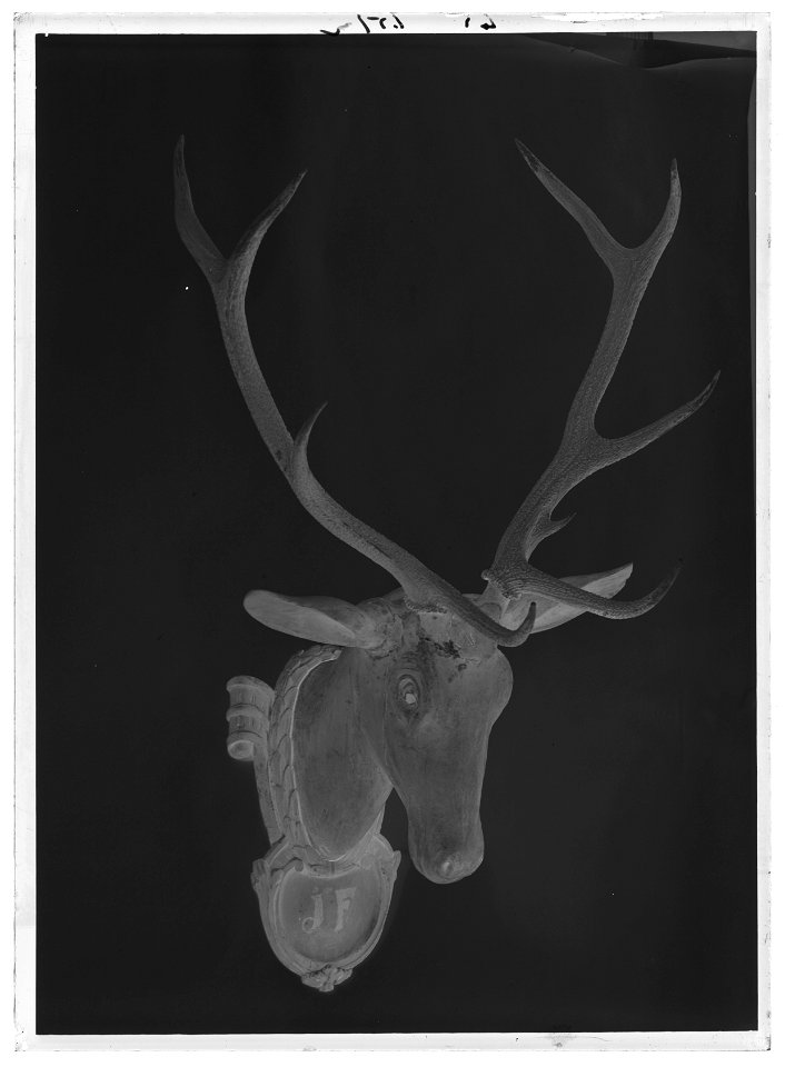 Jakttrofé med kronhjortshorn, monterat på skulpterat hjorthuvud - Livrustkammaren - 35258-negative