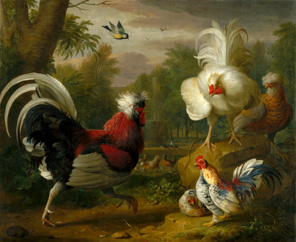 Jakub Bogdan - The Cockrel's Fight - O 2 - Slovak National Gallery