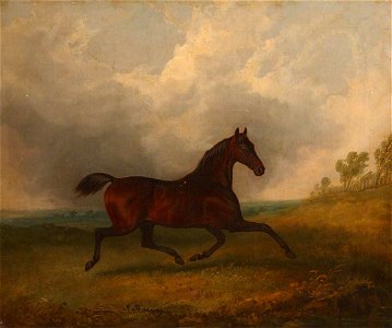 James Barenger (1780-1831) - 'Pacha', a Bay Horse Trotting in a Landscape - 1221328 - National Trust