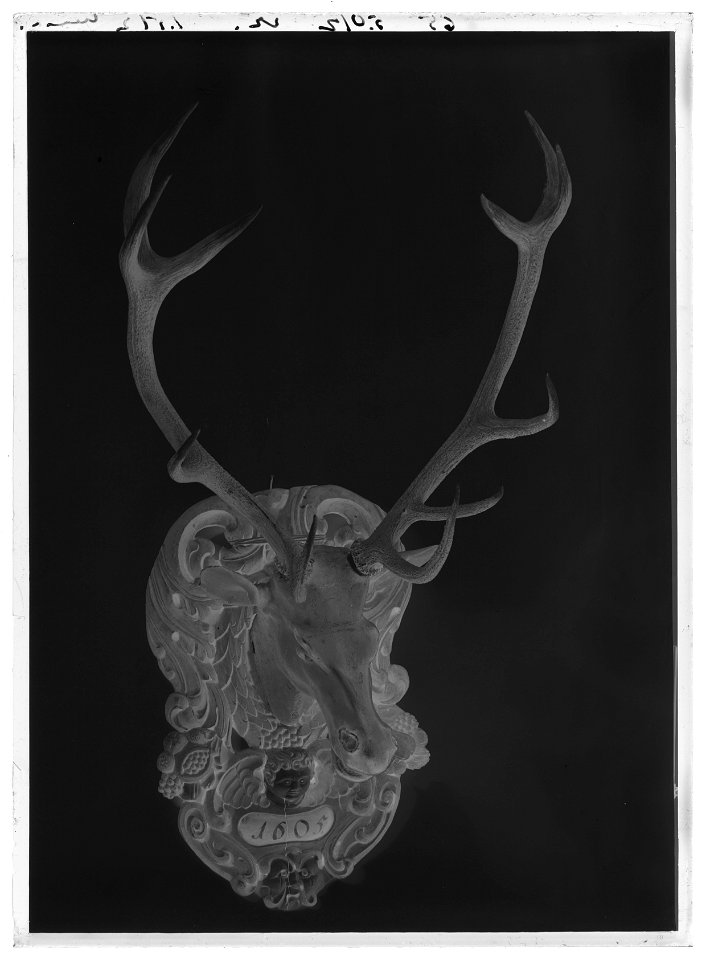 Jakttrofé med hornkrona från kronhjort, monterat på skulpterat huvud, daterat 1605 - Livrustkammaren - 26697-negative
