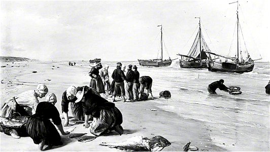 James Clarke Hook (1819-1907) - Fish from the Dogger Bank, Scheveningen, Holland - 1892P24 - Birmingham Museums Trust