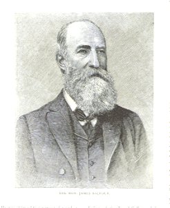 James Balfour (Australian politician)