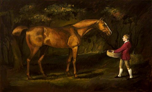 James Hagarty (active 1762-1783^) - A Boy and a Horse - 1298858 - National Trust