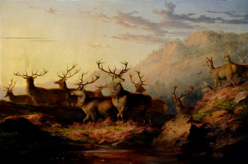 James Giles (1801-1870) - Stags on the Highlands - 290310 - National Trust