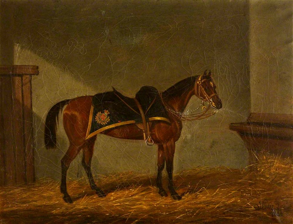James Loder (1784-1860) - A Bay Charger in His Stable - 453814 - National Trust