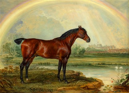 James Ward (1769-1859) - Nonpareil - RCIN 405018 - Royal Collection