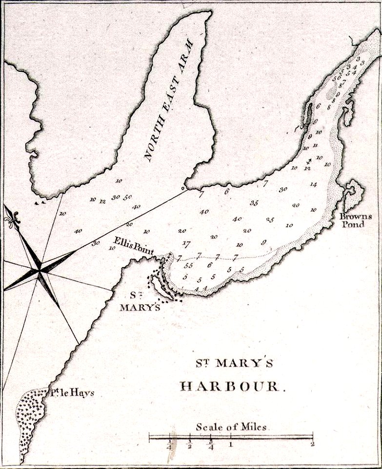 James Cook NF St marys