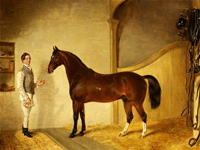 James Flewitt Mullock (1818-1892) - Groom with Hunter in the Stables - 1553704 - National Trust