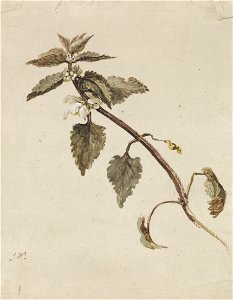 James Ward - A Foliated Branch - Google Art Project