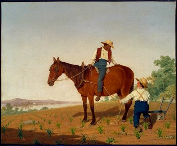 James Goodwyn Clonney - In the Cornfield