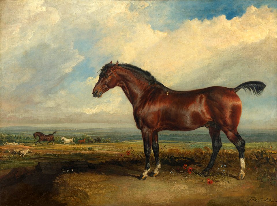 James Ward (1769-1859) - Monitor - RCIN 405017 - Royal Collection